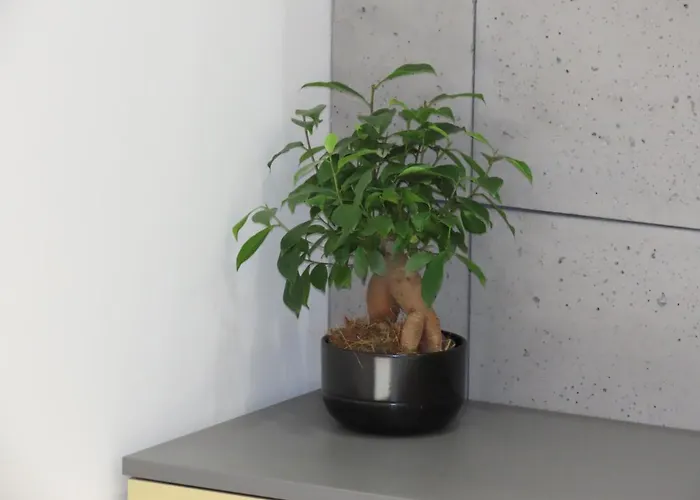 Apartment El - Solaris *